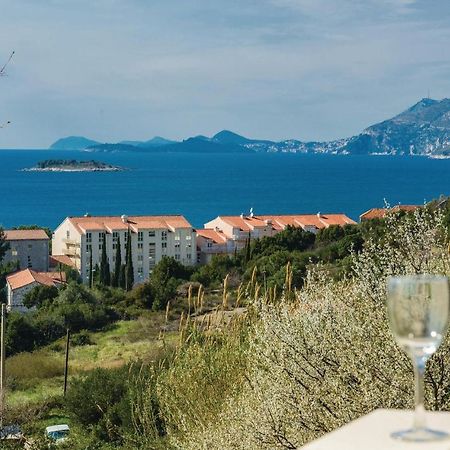 Nice Apartment In Cavtat With Wifi Eksteriør billede